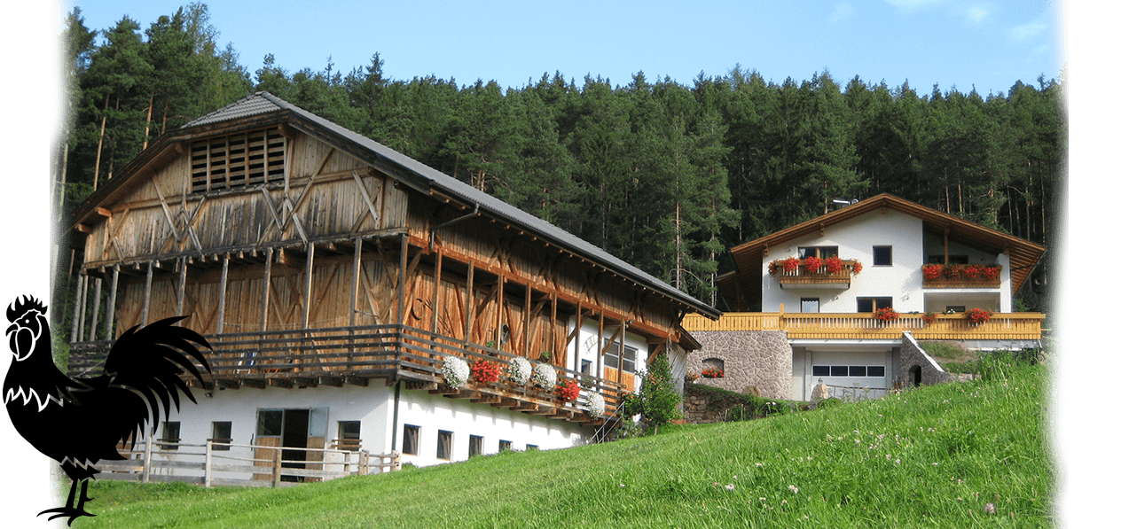 Polzhof - Our farm in the Summer